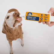 Under the Weather Pet | Ready Cal for Dogs | High Calorie Nutritional Supplement for Weight Gain & Not Eating
