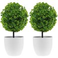thumbnail image 1 of CHICHUMID 2Ud Bola De Plantas Artificiales Multicolor Para De Interiores, 1 of 6