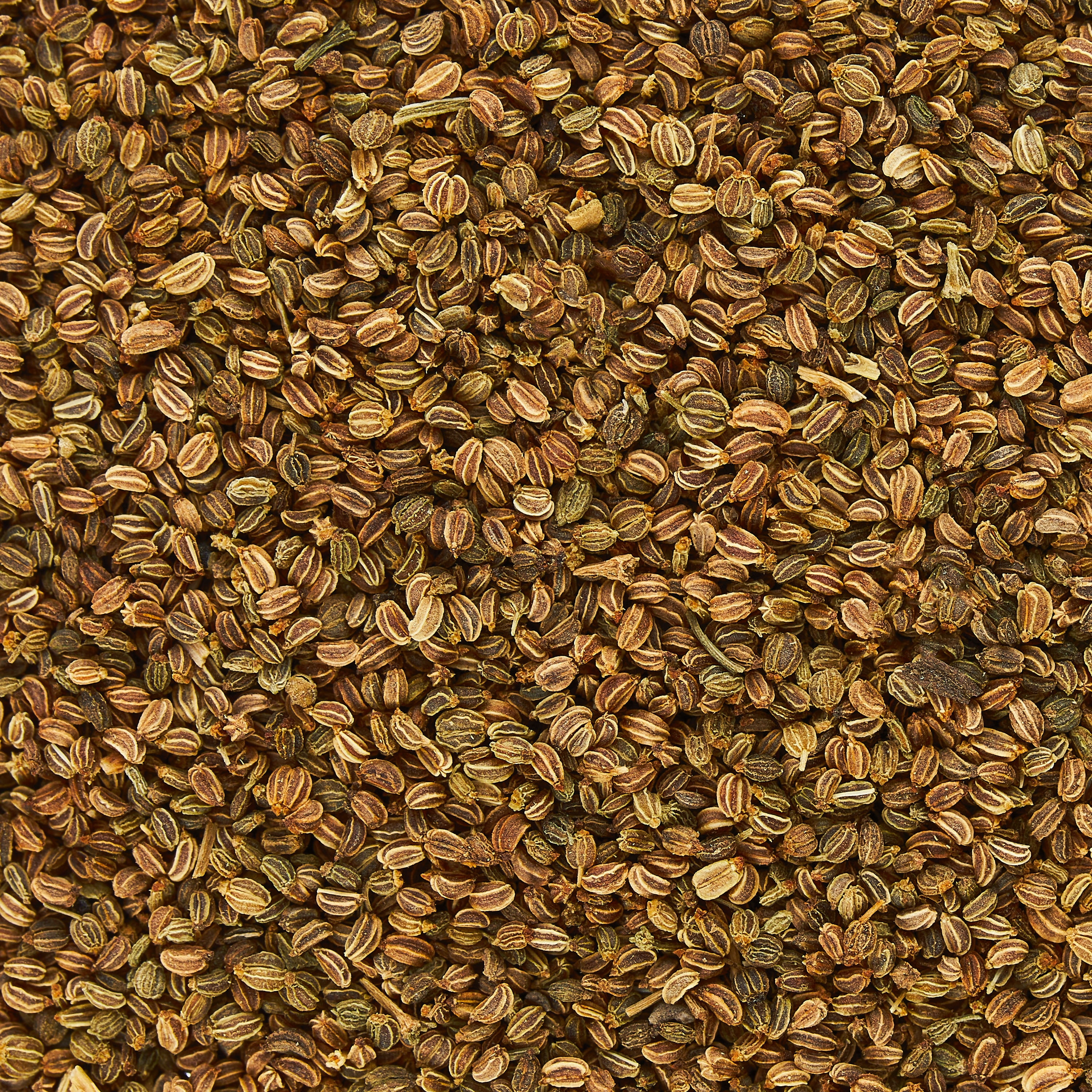 Great Value Organic Celery Seeds, 1.8 oz, 1 Count