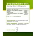PURE ORGANIC SPIRULINA + ALFALFA + WHEATGRASS + CHLORELLA CAPSULES ...