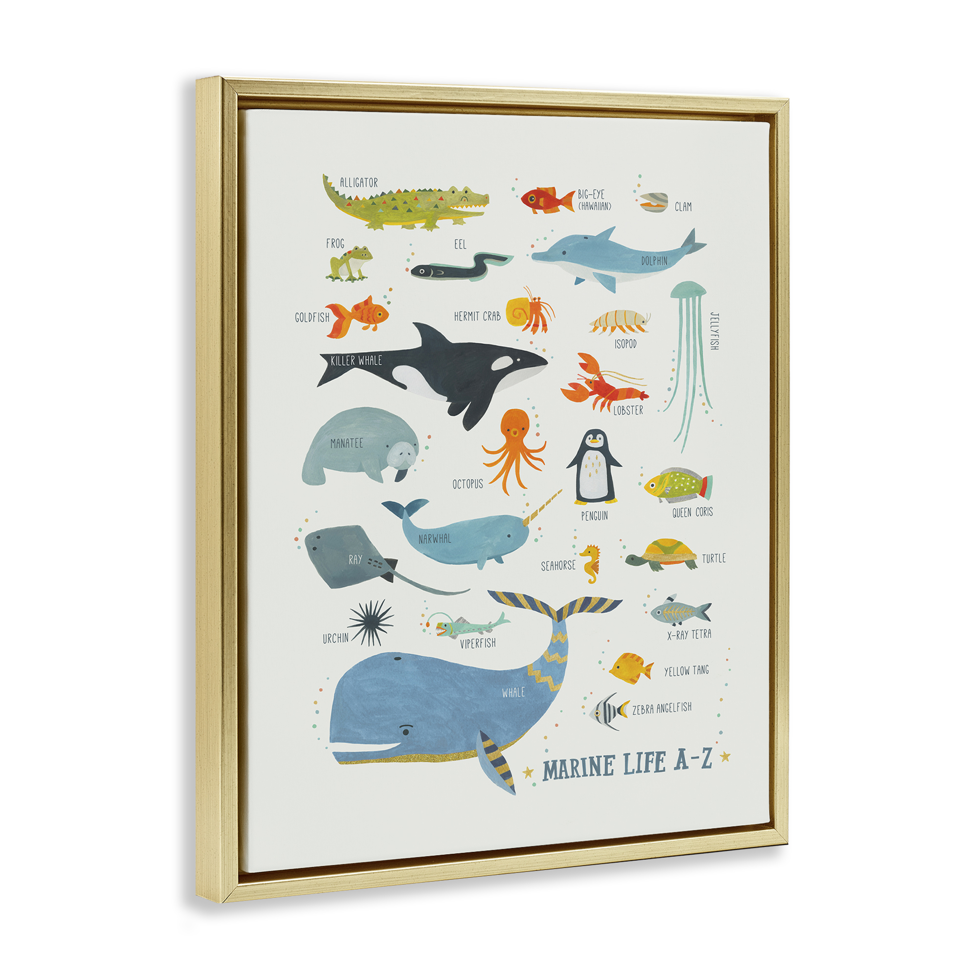 Stupell Industries Marine Life ABC Alphabet Education Painting Gold Floater Framed Canvas Art Print Wall Art, 17 x 21