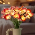 thumbnail image 1 of Lámpara Artificial de Cala HOMESEASONS LED Rosa 20 unidades, 1 of 7