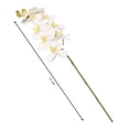 thumbnail image 3 of Flor Artificial Mainstays 71 x 15 x 15 cm Orquídea Blanca Tallo Largo, 3 of 4