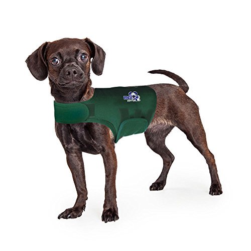 Dog Thunder Shirt