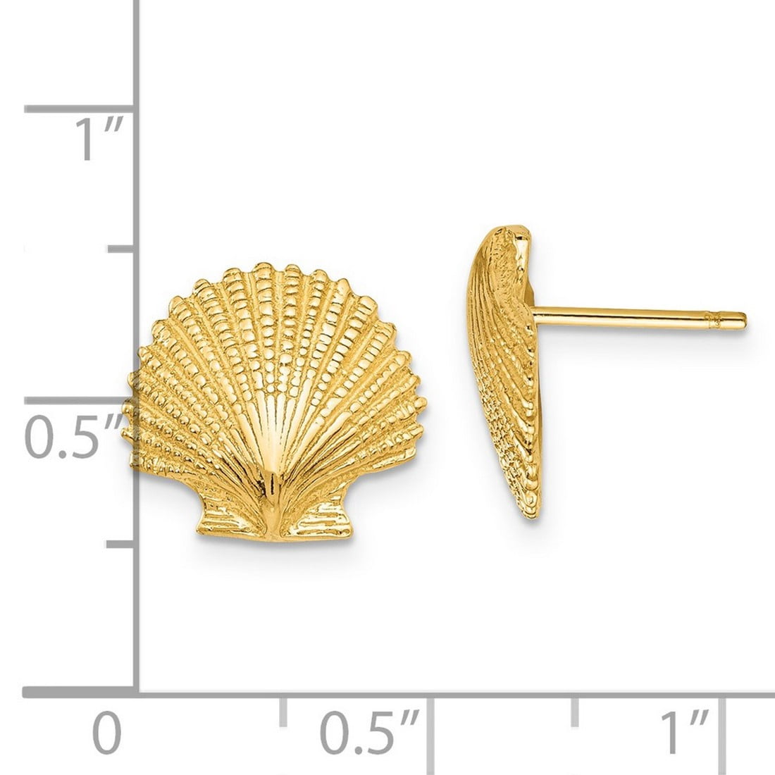 14k Yellow Gold Textured Polished Scallop Shell Post Earrings 13x13mm Wide Stud Earring for Women