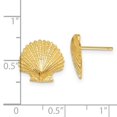 thumbnail image 2 of 14k Yellow Gold Textured Polished Scallop Shell Post Earrings 13x13mm Wide Stud Earring for Women, 2 of 2