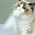 thumbnail image 4 of Chat Jouet Interactif Chat Teaser Chaton Teaser Jouet Chat Jouer Jouet, 4 of 10