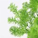 thumbnail image 3 of Bearachild Artificial falso colgante planta verde boda interior decoración de jardín al aire libre Plantas Artificiales 6 tenedor verde, 3 of 6