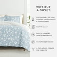thumbnail image 3 of Duvet Cover Set - Ultra Soft & Breathable - Light Blue Farmhouse Country Home for Twin Size Size Bedding by Comfort Canopy, 3 of 21