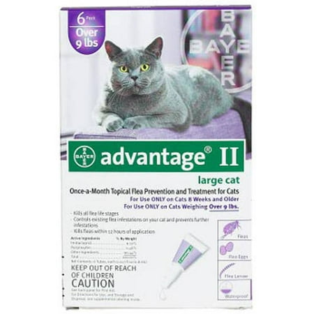 Advantage II Flea & Tick Treatment for Large Cats, 6 Treatments