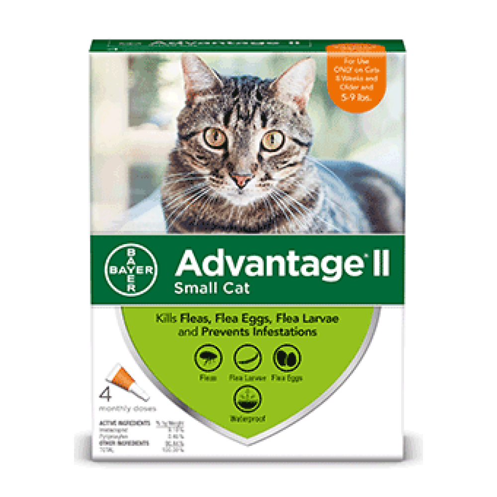 Advantage II Flea Prevention for Small Cats, 4 Monthly Treatments