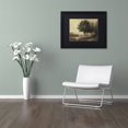 thumbnail image 3 of Trademark Fine Art "Tranquility" Canvas Art by Daniel Moises, Black Matte, Black Frame, 3 of 4