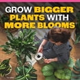 thumbnail image 6 of Pennington Easy-Dose Indoor Plant Food 2-3-2 16oz, 6 of 17