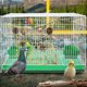 thumbnail image 5 of Red De Escalada Para Loros, Cuerda De Cáñamo, Hamaca Para Pájaros Con Juguetes De Nueces, Red Para Columpio De Pájaros Speravity PT002577-00, 5 of 5