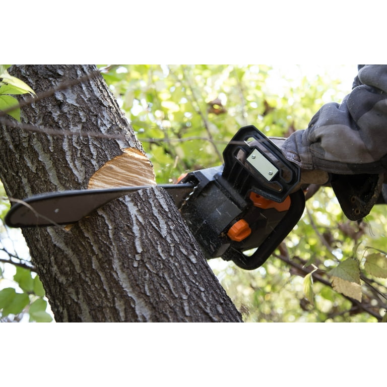 BLACK+DECKER 20V MAX Pruning Chainsaw Kit, Battery and Charger Included  (BCCS320C1)