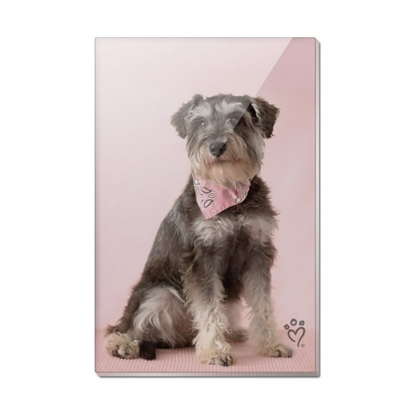 Schnauzer Puppy Dog with Bandana Sitting Rectangle Acrylic Fridge Refrigerator Magnet