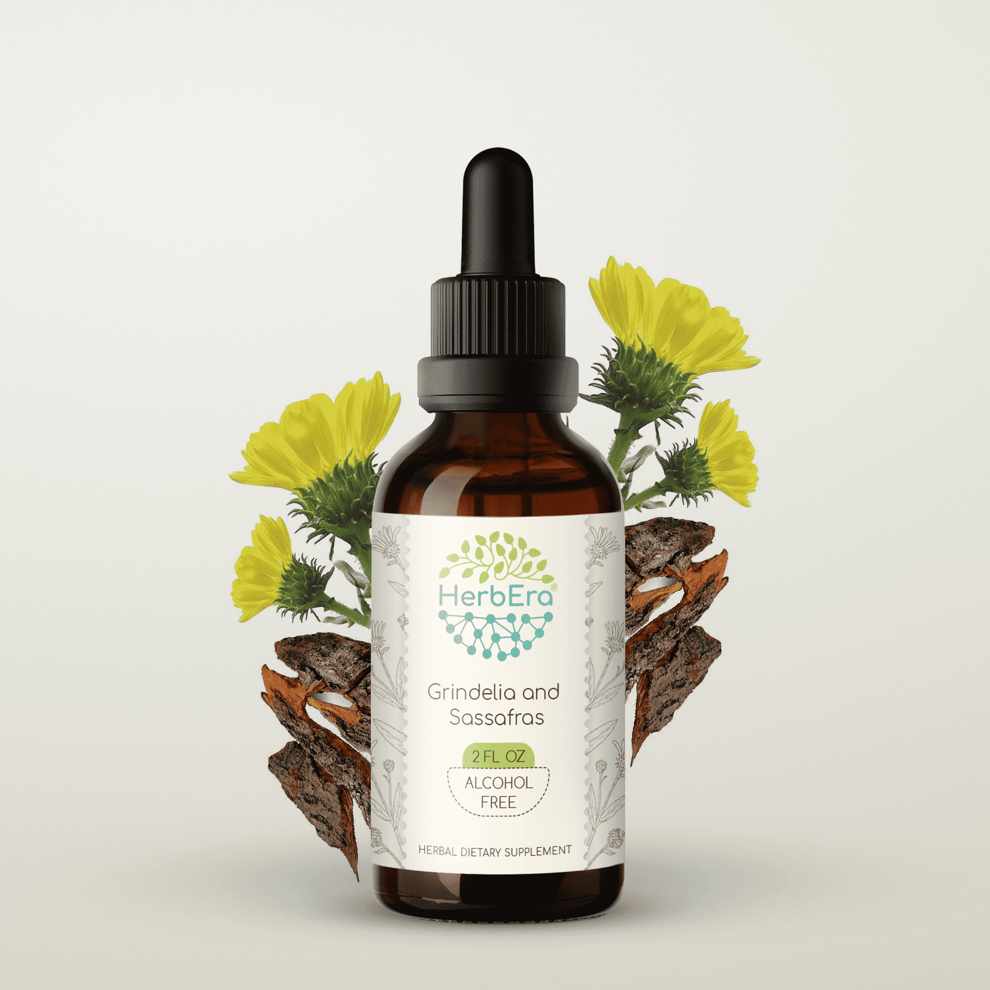 HerbEra Grindelia & Sassafras Tincture, Alcohol-Free Herbal Extract for Respiratory Support, Grindelia (Gumweed, Grindelia robusta), Sassafras Root (Sassafras officinale) Dried Herb, 2 oz
