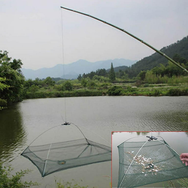 Fishing Foldable Mesh Baits Umbrella Cast Net Cage , Green, as described 