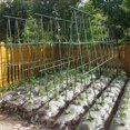 thumbnail image 1 of 20 Piezas 11MM Conectores Rectos de Estaca Jardín Plástico para Tubería Conexión Soporte Plantas Alta Resistencia, 1 of 5
