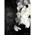thumbnail image 2 of Bluebird Barn 15x18 Gold Ornate Wood Framed with Double Matting Museum Art Print Titled - Contemporary White Orchids, 2 of 4