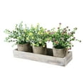 thumbnail image 3 of Fake Plant Potted Lifelike Small Artificial Greenery Plant Faux Plant Decoration, 3 of 10