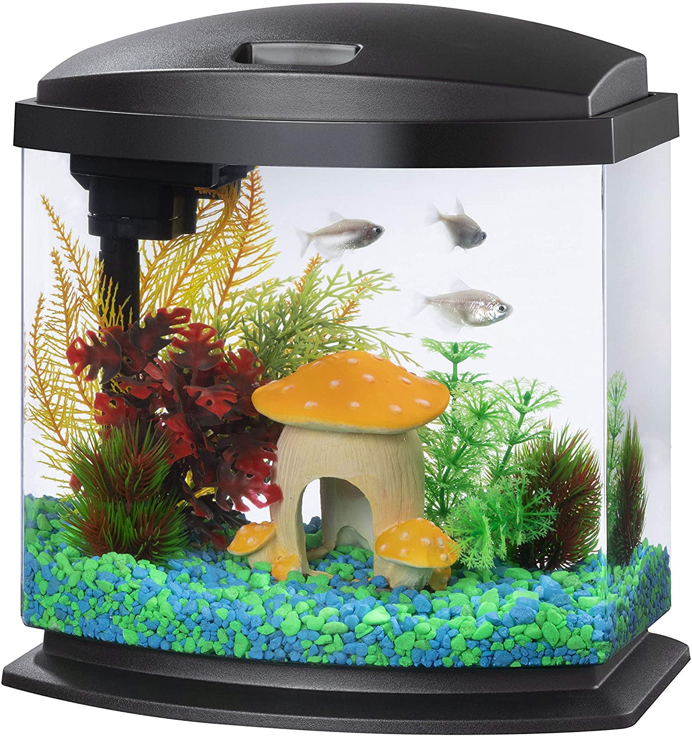 Bekentenis Couscous Schaar LED MiniBow Small Aquarium Fish Tank Kit with SmartClean Technology, Black,  2.5 Gallon - Walmart.com