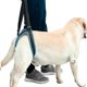 thumbnail image 2 of Control de comodidad del arnés de soporte para perros para ayudar a las mascotas mayores discapacitadas a recuperarse de forma segura, 2 of 4