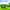 Green, variant on Zznnkj Clear Tarps, 9.8x6.4 FT Heavy-Duty Waterproof Tarp, Transparent Garden Rainproof Covering for Camping, Outdoor Furniture, Car, Tents, Painting, Firewood Protection