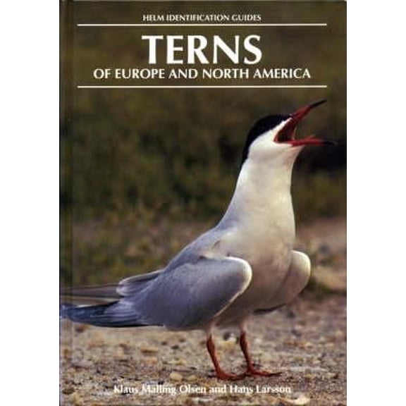 Pre-Owned Terns (Hardcover) 0713640561 9780713640564