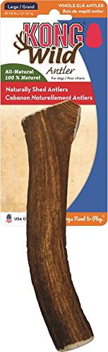 kong wild whole elk antler dog chew