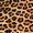 Leopard Skin 4, variant on TalkingCase Slim Fit Phone Case Compatible for Samsung Galaxy S25+ Plus(Not S25/ S25 Ultra), Leopard Skin 4 Print, Lightweight,Flexible, USA Print