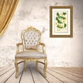 thumbnail image 3 of Charles Antoine Lemaire 18x24 Gold Ornate Framed and Double Matted Museum Art Print Titled - Tropoolum Chrysanthum (1854-1896), 3 of 4