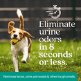 thumbnail image 6 of ﻿﻿Outdoor Odor Eliminator: Dog and Cat Urine Enzyme Cleaner for Yard, Turf, Kennels and Decks (32 oz + 1 Gallon Refill), 6 of 10