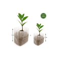 thumbnail image 2 of 200 plant sacks plant sacks made of fleece plant sacks biodegradable (8 × 10, 16 × 20 cm), 2 of 5