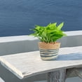thumbnail image 4 of Harpi Flower Pots Outdoor Clearance, Flower Pots Cover Storage Basket Plant Woven Basket Planter Flower Pot Garden Gardening Pots, Planters & Accessories, 4 of 5