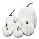 thumbnail image 2 of Decoraciones de Halloween, adornos de Halloween, regalos de Halloween, modelo de simulación, adornos de Halloween, accesorios decorativos, vitrina de verduras, fotografía, accesorios de educación temp, 2 of 4