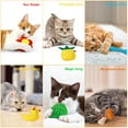 thumbnail image 6 of Legendog 6PCS Felt Cat Toys Duck Fish Pineapple Cat Catnip Toys Flower Kitten Chew Toys Cat Wand Refill, 6 of 10