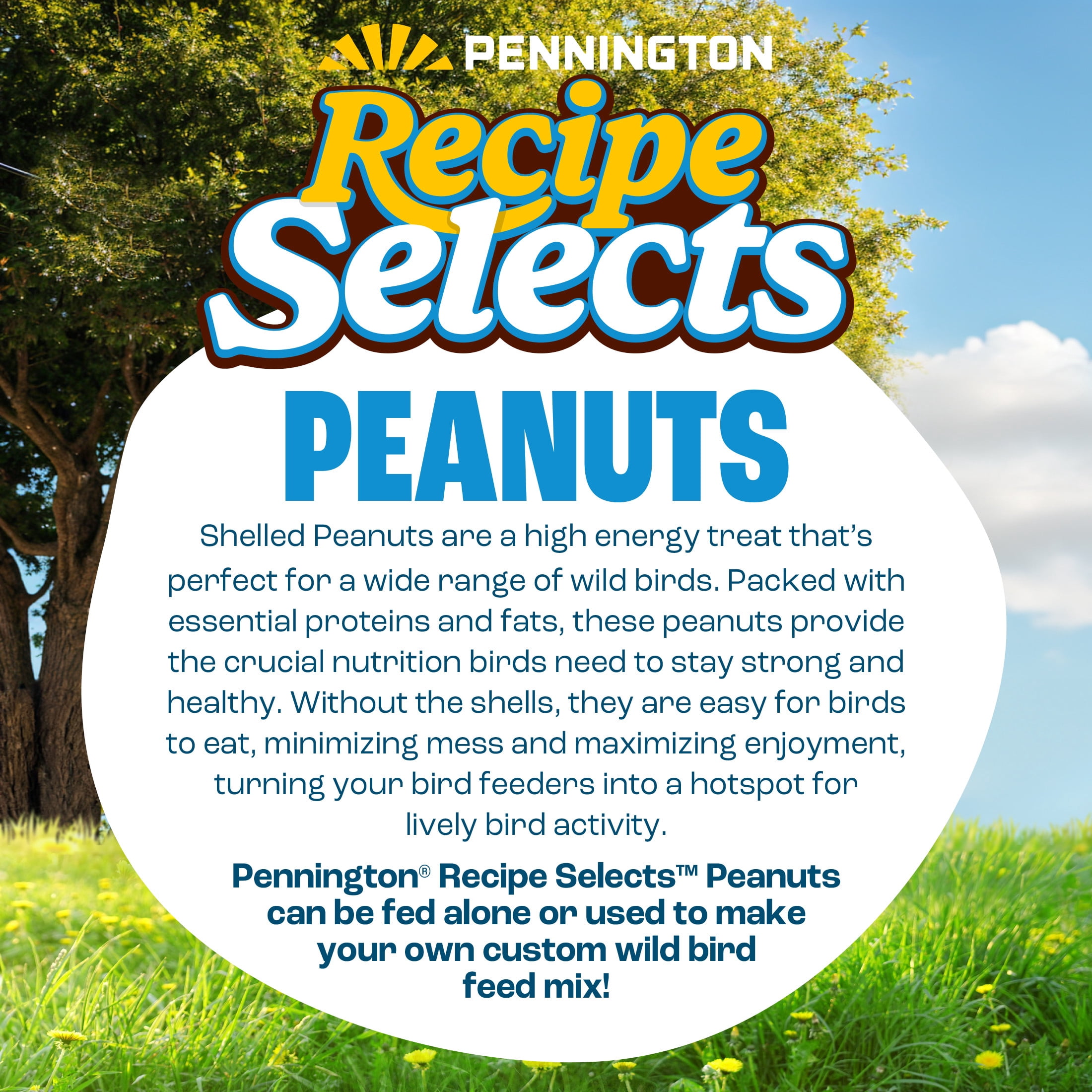 Pennington Recipe Selects Shelled Peanuts for Birds and Wildlife, Wild Bird Food, 5 lb Bag, 1 Pack, Dry