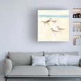 thumbnail image 3 of Avery Tillmon 'Sandpipers Square I Blue' Canvas Art, 3 of 4