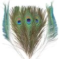 thumbnail image 1 of Plumas de pavo real THARAHT, naturales, 25 a 30 cm, para manualidades, 24 unidades, 1 of 7