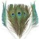 thumbnail image 1 of Plumas de pavo real THARAHT, naturales, 25 a 30 cm, para manualidades, 24 unidades, 1 of 7