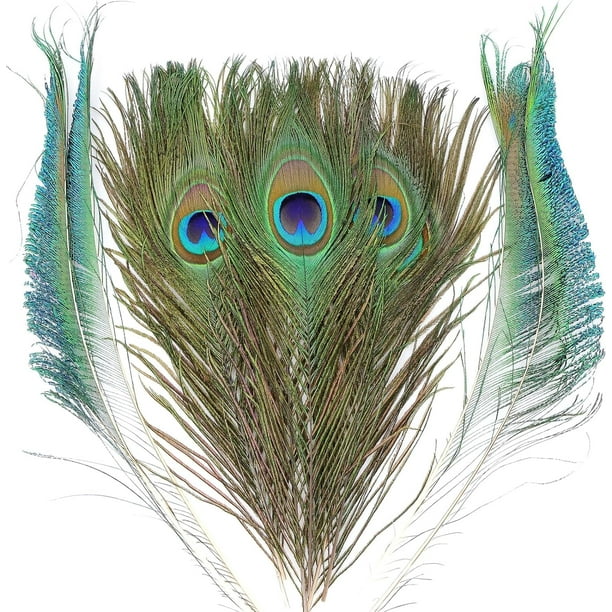 Plumas de pavo real THARAHT, naturales, 25 a 30 cm, para manualidades, 24 unidades