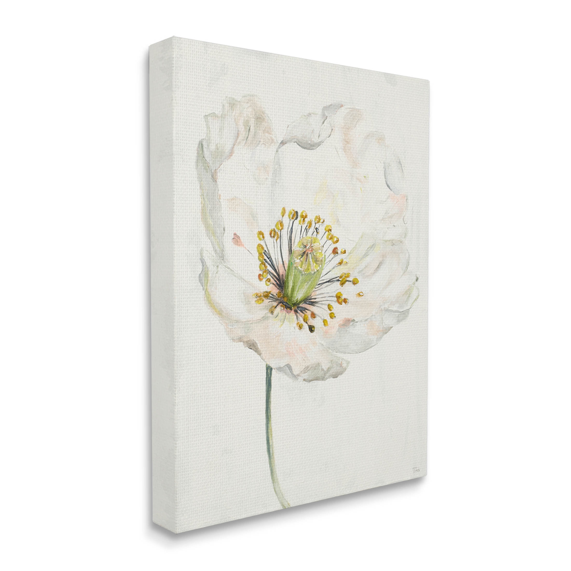 Stupell Industries Delicate Beauty White Flower Graphic Art Gallery Wrapped Canvas Print Wall Art, Design by Patricia Pinto