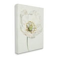 thumbnail image 3 of Stupell Industries Delicate Beauty White Flower Graphic Art Gallery Wrapped Canvas Print Wall Art, Design by Patricia Pinto, 3 of 7