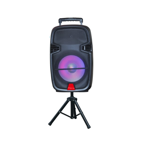 Ridgeway QS2615BS Pro 15" Party DJ Karaoke Portable BT PA Speaker with