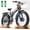 R5PRO-Gray Dual battery(20Ah*2), variant on Dual Motors AWD 2000W Electric Bike for Adult 26'', UL2849 48V 20AH Removable Battery E-mountain bike 4.0 Fat Tire up to 32MPH Long Range Off-road Ebike Dual Hydraulic&Full Suspension Bicycles
