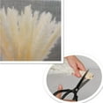 thumbnail image 6 of 30PCS Pampas Grass Plumes Decoration, 17 Inch Tall Natural Dried Flowers,Faux Reed Flower Stems Bunch for Flower Arrangements Wedding Home Decor, 6 of 6