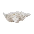 thumbnail image 6 of Textured Shell Decorative Bowl for Coffee Centerpiece Table Accent - Wavy Edge Design for Home, Kitchen Counter, or Catchall Dish - Coastal Basin Accent for Key and Candy Bowl - 5", Ivory & Tan, 6 of 12