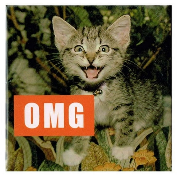 I Can Has Cheezburger 'OMG' Large Magnet / Favor (1ct)