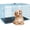 Blue, variant on XF XINFENG 48 inch Folding Metal Dog Crate Indoor and Outdoor Includes Leak-Proof Pan, Floor Protecting feet,Divider Panel with Double-Door,Pink